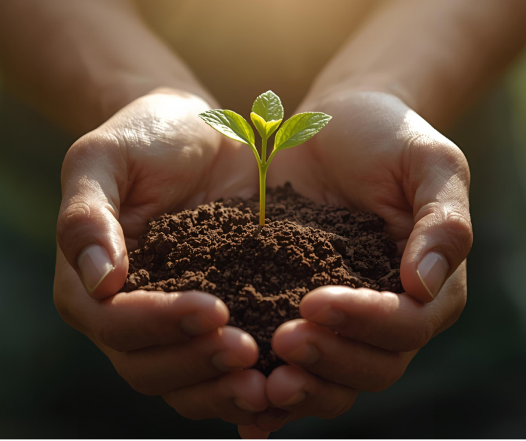 stewardship